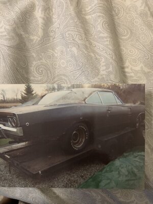 F423875B-46CA-43BA-9151-2A05A4D1C8E3.jpeg F423875B-46CA-43BA-9151-2A05A4D1C8E3.jpeg