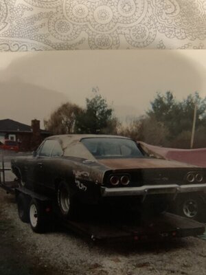 4AA8BCF6-EDB2-4126-B00E-E0C418EBE7D2.jpeg 4AA8BCF6-EDB2-4126-B00E-E0C418EBE7D2.jpeg