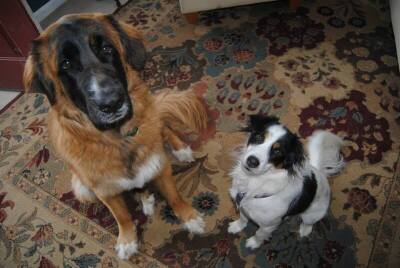 10_15162429_n.jpg?_nc_cat=103&_nc_sid=e007fa&_nc_ohc=TjHnxt8sxssAX8iSosF&_nc_ht=scontent.fbed1-2.jpg 10_15162429_n.jpg?_nc_cat=103&_nc_sid=e007fa&_nc_ohc=TjHnxt8sxssAX8iSosF&_nc_ht=scontent.fbed1-2.jpg