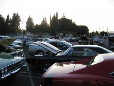 IMG_0503.JPG IMG_0503.JPG