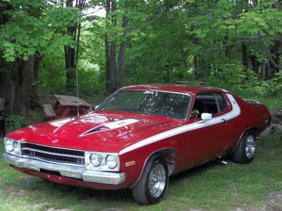 Picture 005 (Mediu88m).jpg Picture 005 (Mediu88m).jpg