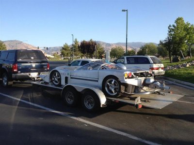 Sea Lion at El Mirage 5.26.13 003 (Large).jpg Sea Lion at El Mirage 5.26.13 003 (Large).jpg