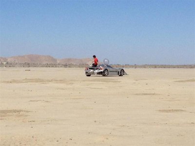 Sea Lion at El Mirage 5.26.13 016 (Large).jpg Sea Lion at El Mirage 5.26.13 016 (Large).jpg