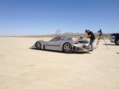 Sea Lion at El Mirage 5.26.13 017 (Large).jpg Sea Lion at El Mirage 5.26.13 017 (Large).jpg