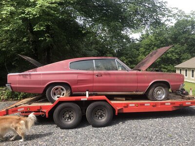 IMG_1013.JPG IMG_1013.JPG