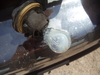 bulb 2.JPG