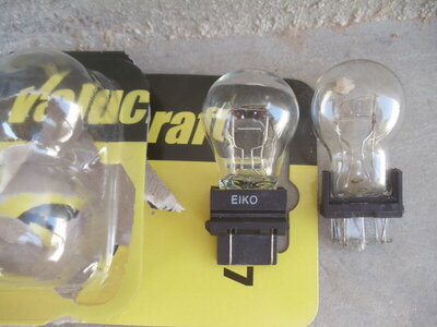 bulb 1.JPG
