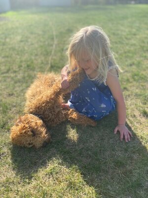 24270526-5542-468B-B306-685A76BFB433.jpeg 24270526-5542-468B-B306-685A76BFB433.jpeg