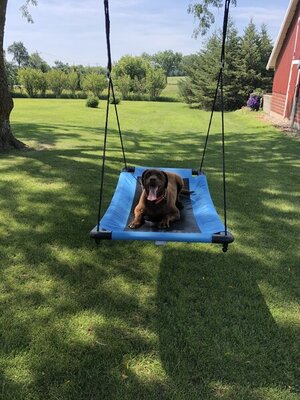 F57E6BEC-7B03-4A20-9BD9-E2EE25FDD1D9.jpeg F57E6BEC-7B03-4A20-9BD9-E2EE25FDD1D9.jpeg