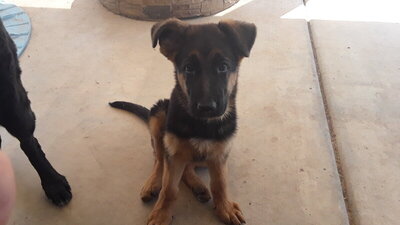 20200808_110245.jpg 20200808_110245.jpg