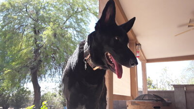 20200808_110332.jpg 20200808_110332.jpg