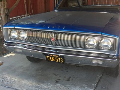 169BD444-B97E-4E50-B372-9ECD17B5D487.jpeg 169BD444-B97E-4E50-B372-9ECD17B5D487.jpeg