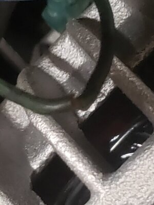 Resized_20200813_143349.jpeg Resized_20200813_143349.jpeg