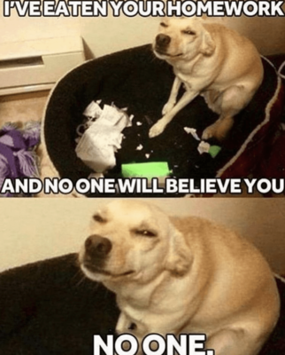 dog-pveeatenyourhomework-andnoonewill-believe-you-noone.png