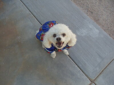 Coaraon from above copy.JPG