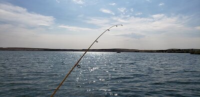 20200816_104753.jpg