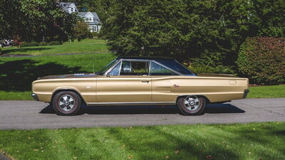 4018FBF3-C605-445A-B77C-D6E1D93C4B02.jpeg 4018FBF3-C605-445A-B77C-D6E1D93C4B02.jpeg