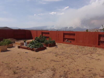 20200817_115138.jpg