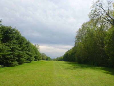 runwayaug172020 004.JPG