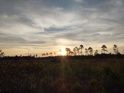 IMG_20200817_194336231_HDR.jpg
