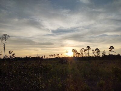 IMG_20200817_194344944_HDR.jpg