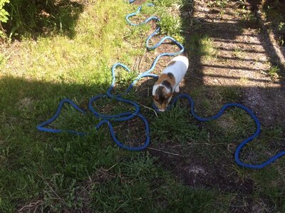 67EE518C-E7AB-4E1D-B456-9595593E1786.jpeg 67EE518C-E7AB-4E1D-B456-9595593E1786.jpeg