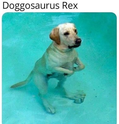 116683681_10159139669730400_6754253480513185603_n.jpg
