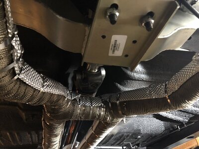 4029ADDD-F708-43F3-A6C9-67387C65A361.jpeg 4029ADDD-F708-43F3-A6C9-67387C65A361.jpeg