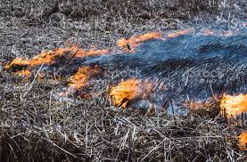fire.jpeg