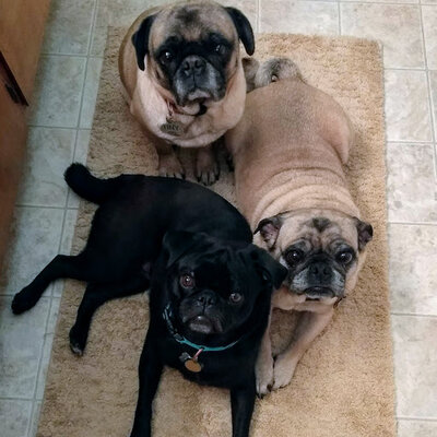 D6185C41-AD47-4028-8458-3C835B0F309F.jpeg D6185C41-AD47-4028-8458-3C835B0F309F.jpeg