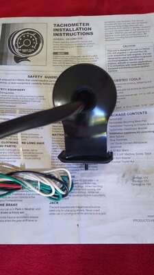 IMG_20200821_103147148.jpg
