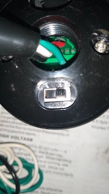 IMG_20200821_103233860.jpg