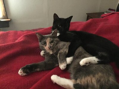Brotherandsister.jpg
