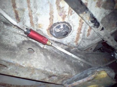 downsized_0529131802.jpg downsized_0529131802.jpg