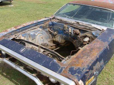 DSC03600.JPG DSC03600.JPG