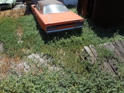 '70 Barracuda and GTX 041.jpg '70 Barracuda and GTX 041.jpg