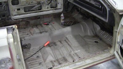 IMG_1232.jpg IMG_1232.jpg