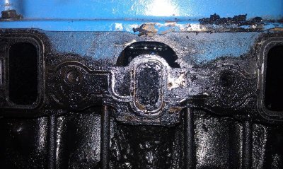 IMAG0252.jpg