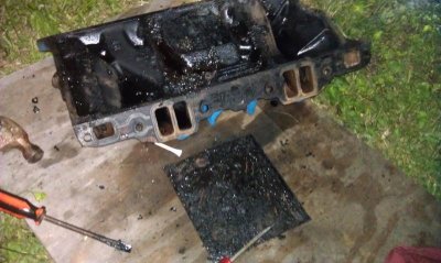 IMAG0261.jpg