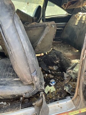 Interior2.jpeg Interior2.jpeg