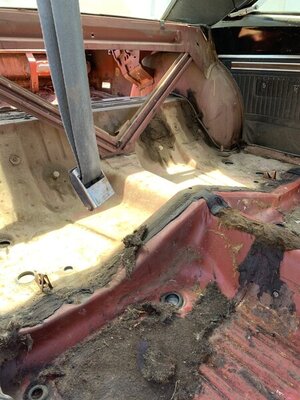 Interior9.jpeg Interior9.jpeg