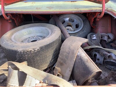 Trunk.jpeg Trunk.jpeg