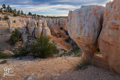 Bryce%20Canyon-310-2-HDR-X2.jpg