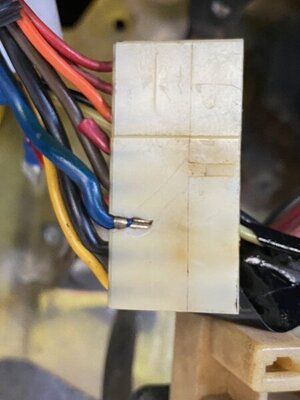 IMG_3858.jpg IMG_3858.jpg