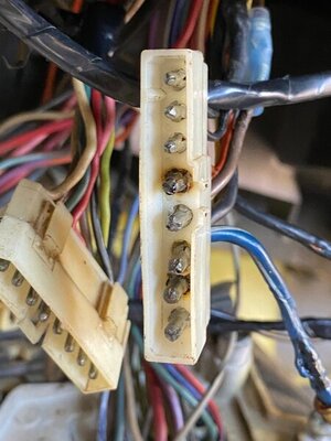 IMG_3862.jpg IMG_3862.jpg