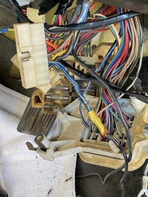 IMG_3864.jpg IMG_3864.jpg