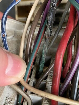 IMG_3875.jpg IMG_3875.jpg