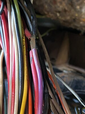 IMG_3877.jpg IMG_3877.jpg