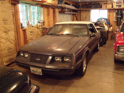 DSCF0015.JPG DSCF0015.JPG