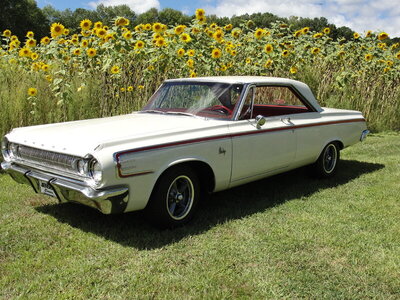 DSC06563.JPG DSC06563.JPG